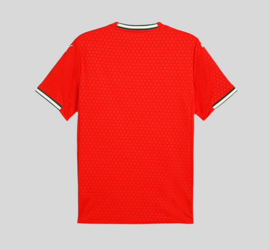 Camisola Principal 25/26 de Portugal