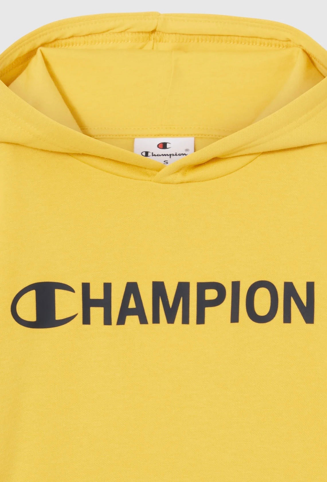 Hoodie Champion