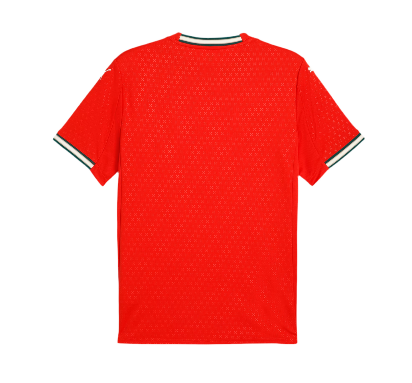 Camisola Principal 25/26 de Portugal