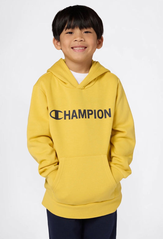 Hoodie Champion
