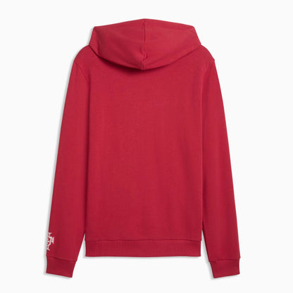 Portugal ftblCulture Puma